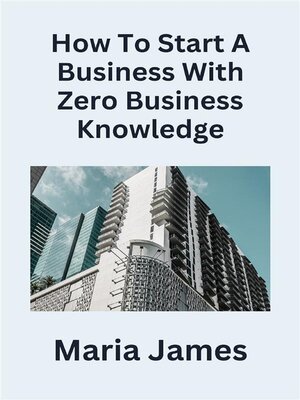 cover image of How to Start a Business with Zero Business Knowledge